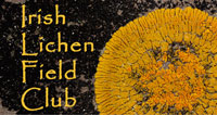 Irish Lichens Field Club