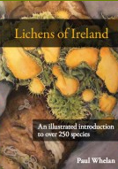 Lichens of Ireland