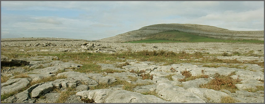 habitat