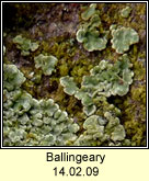 Ballingeary 140209