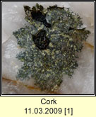 Cork 110309 [1]
